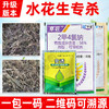 水花生净专杀氯氟吡氧乙酸异辛酯专用专杀药三合一正品除草剂 商品缩略图1