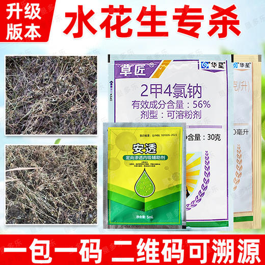 水花生净专杀氯氟吡氧乙酸异辛酯专用专杀药三合一正品除草剂 商品图1