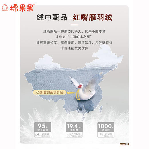 棉果果秋季新品男童撞色轻薄羽绒服M312102925484 商品图8