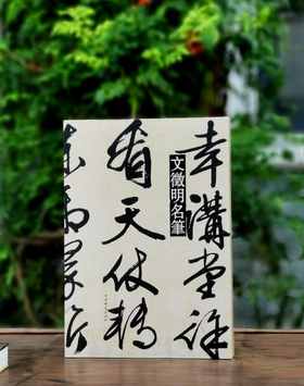 《文徵明名笔》，布脊精装，8开，文徵明著，上海辞书出版社2020年一版，定价480，售价168元。