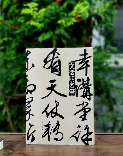 《文徵明名笔》，布脊精装，8开，文徵明著，上海辞书出版社2020年一版，定价480，售价168元。 商品图0