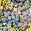 丁庄巨峰葡萄|丁庄的巨峰葡萄🍇果肉软嫩、汁水丰盈，吃起来甜而不腻，有种最原始的果香味😍放在冰箱里冷藏一下再吃风味更清透，我最喜欢吃这个葡萄😋 商品缩略图4