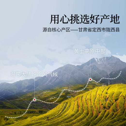 【正宗同仁堂品牌】北京同仁堂 青源堂 西洋参四宝礼盒-230g(西洋参片50克+黄芪50克+党参50克+麦冬80克) SY 商品图7