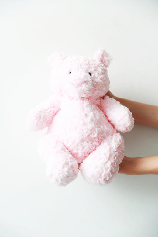 捏捏。。。可爱玩偶合集！！好温柔の安抚式毛绒礼物娃娃C081266 商品图4