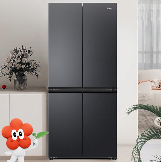 海尔（Haier）冰箱 BCD-490WGHTDEDSD 商品图1