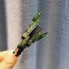 雀说国风仿真水滴竹叶发夹侧边夹女新款后脑勺盘发鸭嘴夹古风汉服头饰ALD115 商品缩略图5