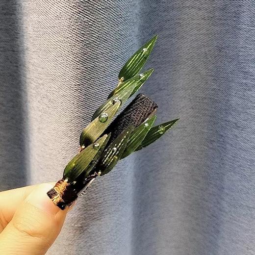 雀说国风仿真水滴竹叶发夹侧边夹女新款后脑勺盘发鸭嘴夹古风汉服头饰ALD115 商品图5