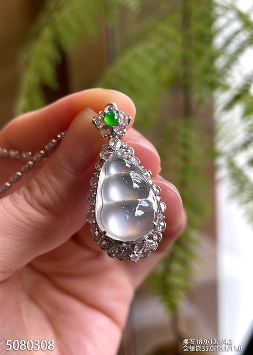 5080308，福豆吊坠。具体价格微信咨询 商品图2