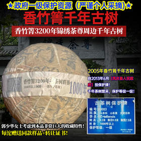 绝版孤品——香竹箐千年古树沱茶 | 廿载纯干仓