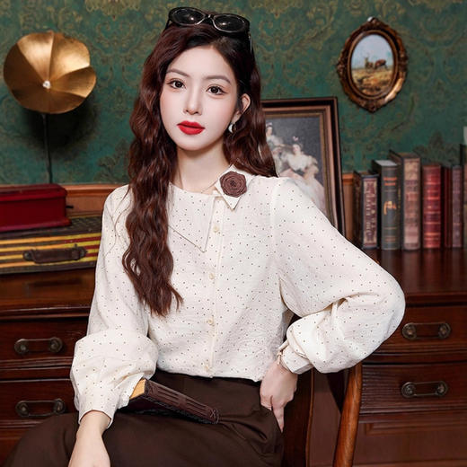 波点女士雪纺衬衫2025年早春秋季新款灯笼袖欧货小衫爆款长袖上衣 商品图3