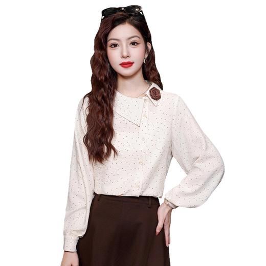 波点女士雪纺衬衫2025年早春秋季新款灯笼袖欧货小衫爆款长袖上衣 商品图4