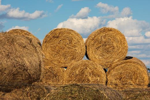北国之秋 9 天摄影线:·大兴安岭阿尔山、呼伦贝尔、蘑阿公路、扎龙湿地、根河、满洲里边境 商品图8