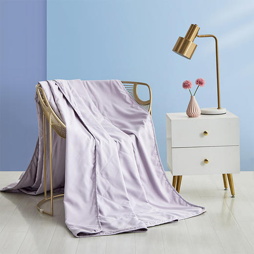 罗莱T 普罗旺斯奢爽蚕丝被 200×230cm 商品图8