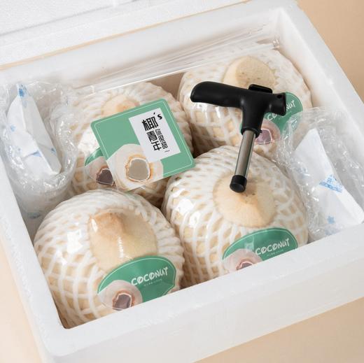 🥥泰国🇹🇭奶香椰皇/椰青 · 甜度高 · 椰香味浓郁 /顺丰全国除偏远 商品图2