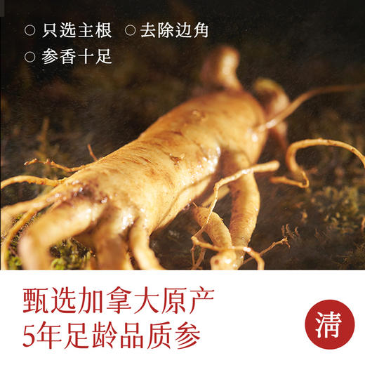 雷允上鲜玉灵膏200g/瓶 商品图1