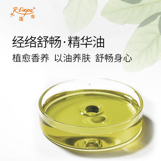 经络舒畅·精华油 植物萃取奢养按摩精华油原料批发芳疗康养SPA 商品图1
