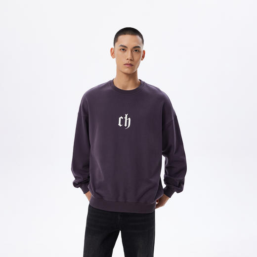 【商场同款】CHINISM赤尘 紫色圆领卫衣男美式复古经典套头上衣 商品图0