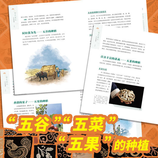 齐民要术（少儿彩绘版） 商品图3