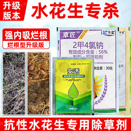 水花生净专杀氯氟吡氧乙酸异辛酯专用专杀药三合一正品除草剂 商品图2