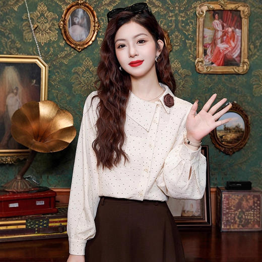 波点女士雪纺衬衫2025年早春秋季新款灯笼袖欧货小衫爆款长袖上衣 商品图2