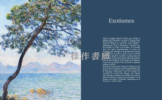 【全新现货】 Monet: L'art Plus Grand / 莫奈：超越艺术的维度【法文原版】 商品图4