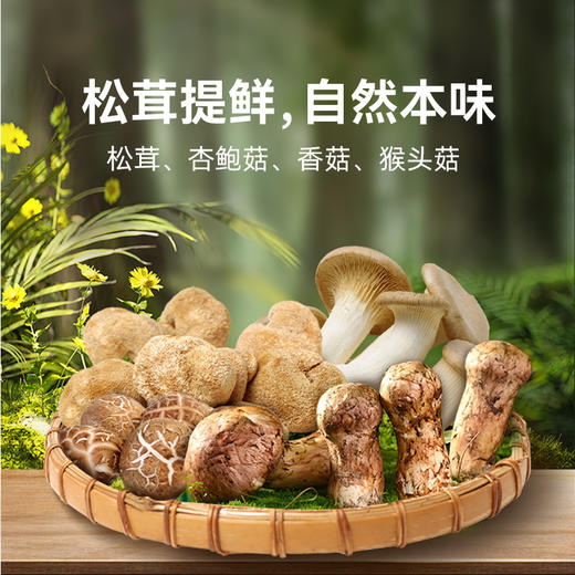 【自然本味】草牧里 松茸鲜 100g/瓶*2 家常炒菜煲汤煮粥 商品图1