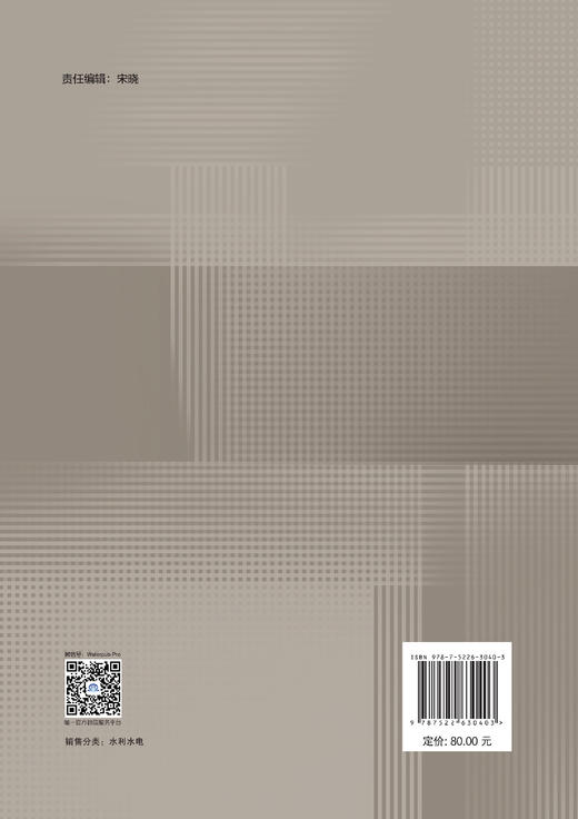 滑坡堰塞体材料空间变异特性研究 商品图3