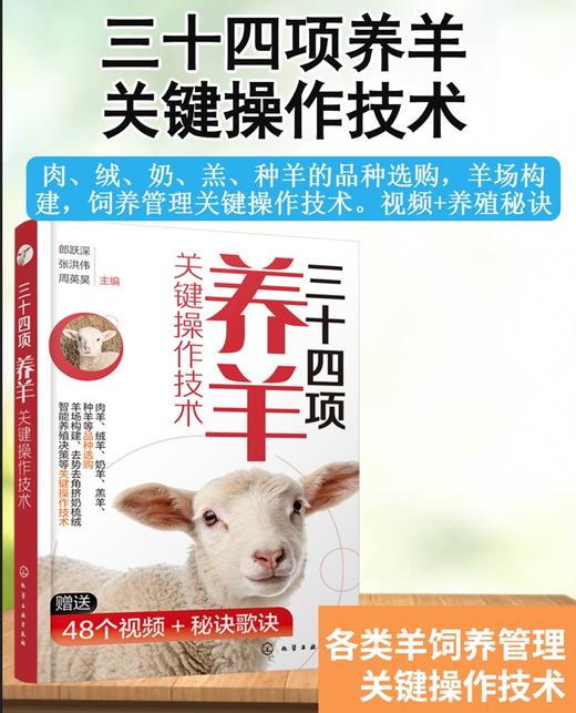 三十四项养羊关键操作技术 商品图0