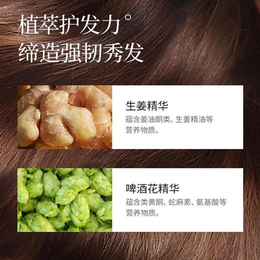 蜂花生姜洗发水600ml 商品图1