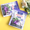 尚梅坊 红心芭乐干128g/大西梅干152g /凤梨干138g 自然本味 独立包装 商品缩略图9