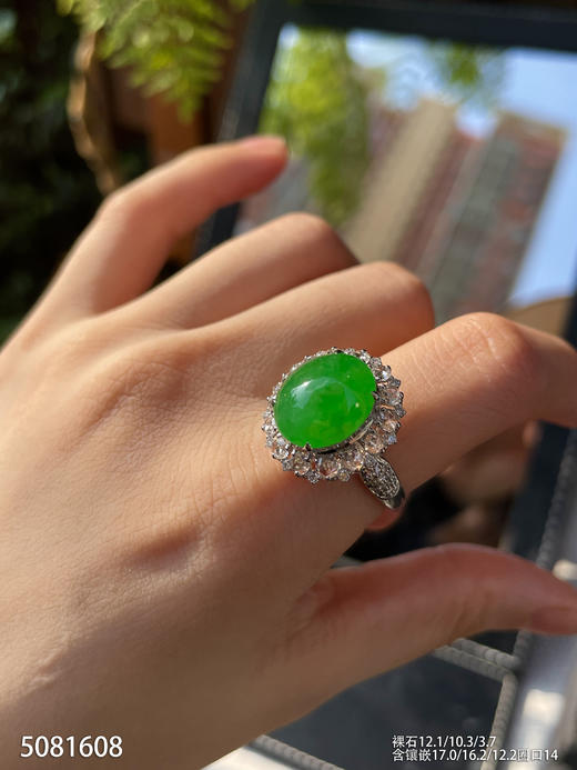 5081608，蛋面戒指。具体价格微信咨询 商品图3