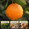 【买2罐赠2罐老白茶】新会梅江老陈皮 ，15年核心产区的老陈皮，药食茶同源，功效是普通陈皮的3倍以上【G】 商品缩略图4