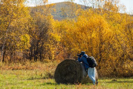 北国之秋 9 天摄影线:·大兴安岭阿尔山、呼伦贝尔、蘑阿公路、扎龙湿地、根河、满洲里边境 商品图5