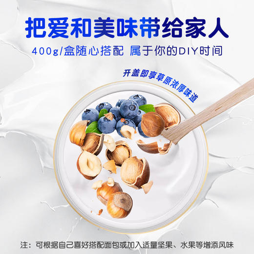 初酪有机纯酸奶 低温原味老酸奶400g*3盒 商品图3