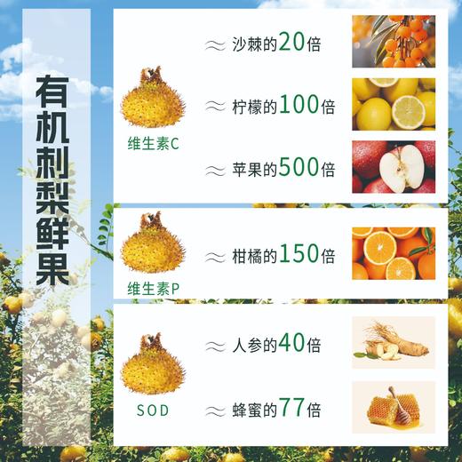 C味C位喜味有机刺梨原液 商品图1