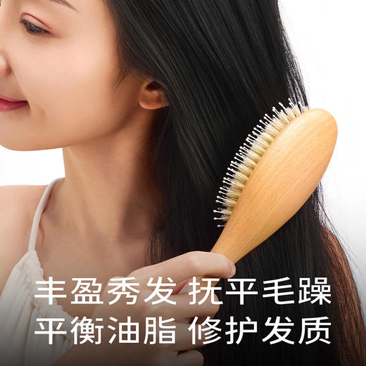 初心| 蓬蓬梳猪鬃榉木 商品图4