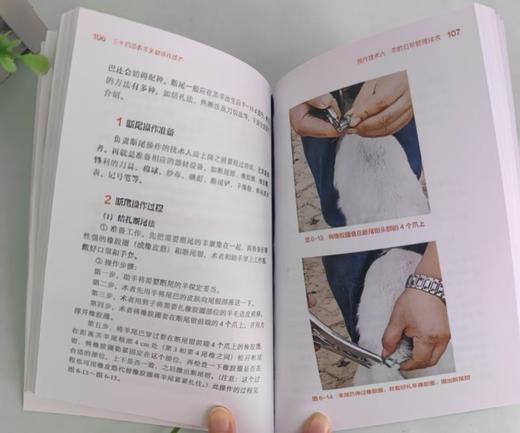 三十四项养羊关键操作技术 商品图2