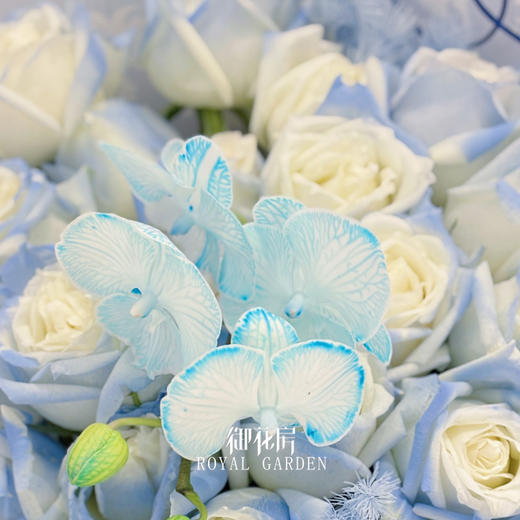 19枝碎冰蓝玫瑰  • 鲜花花束 商品图1