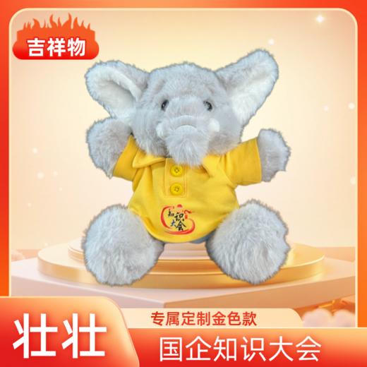 第三届国企知识大会吉祥物“壮壮” 商品图2