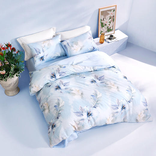 罗莱T 柔纱兰香40支莱赛尔纤维四件套 200×230cm 商品图5