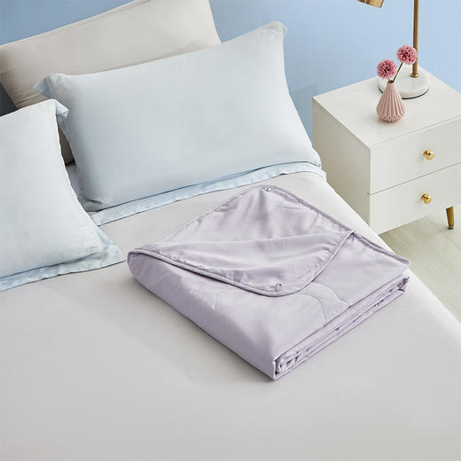 罗莱T 普罗旺斯奢爽蚕丝被 200×230cm 商品图7