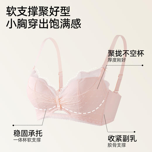 【商场同款】熳洁儿 小胸聚拢文胸云感棉中薄杯法式蕾丝甜心粉调系列25701539 商品图1