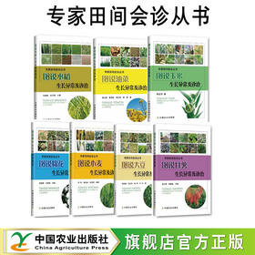 专家田间会诊丛书【玉米、水稻、甘薯、油菜、大豆、小麦、棉花】