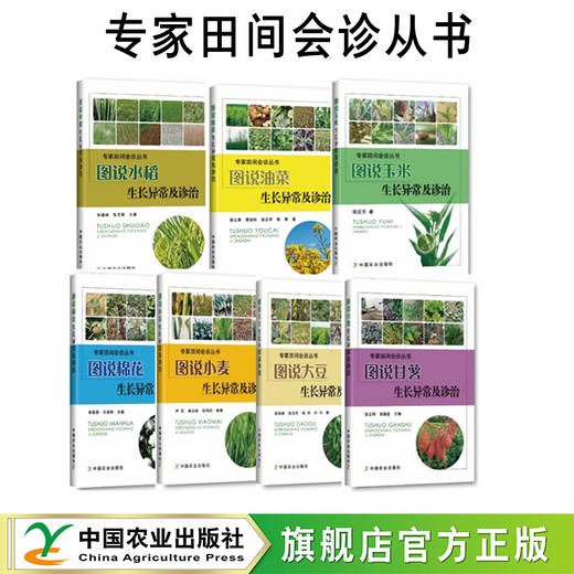 专家田间会诊丛书【玉米、水稻、甘薯、油菜、大豆、小麦、棉花】 商品图0