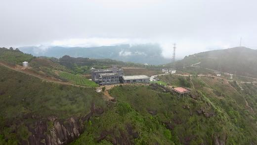 2025普度园新茶50g品鉴装 商品图8