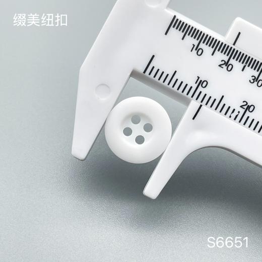 S6651(整包购买) 商品图2