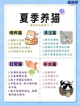 夏日萌猫保命秘籍来啦！！