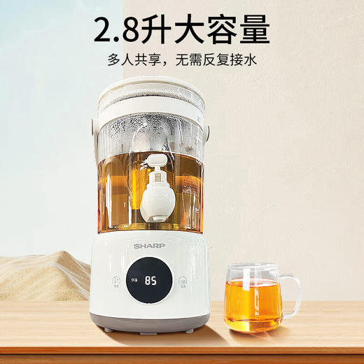 夏普多功能电热壶/养生壶烧水恒温花茶壶-多规格 商品图3