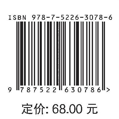 沟道型泥石流的动力机制及数值模拟 商品图2