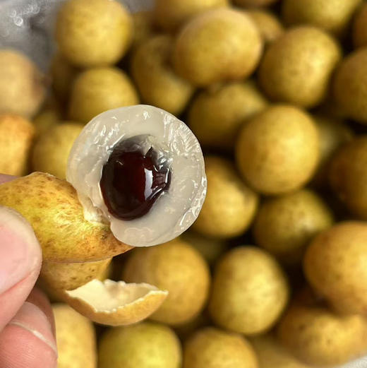 【泰国金龙眼/桂圆】精选盒装，清香鲜甜，汁水满溢，营养小精灵，肉肥核小 商品图4